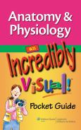 Anatomy And Physiology: An Incredibly Visual Pocket Guide