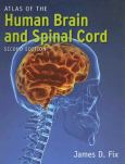 Atlas of the Human Brain and Spinal Cord - cover photo