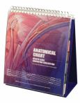 Anatomical Chart Health Care Educational Collection: The Professional's Reference for Patient Communication. 10X12 Laminated Pages