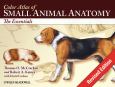 Color Atlas of Small Animal Anatomy: The Essentials - cover photo
