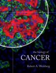 Biology of Cancer. Text with CD-ROM for Macintosh and Windows - cover photo