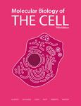 Molecular Biology of the Cell - cover photo