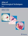 Atlas of Neurosurgical Techniques: Brain - cover photo