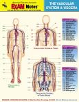 Vascular System and Viscera: Anatomy Illustrated
