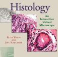 Histology: An Interactive Virtual Microscope