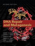 DNA Repair and Mutagenesis - cover photo