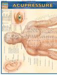 Acupressure Reference Chart. 11 X 24 Laminate Card