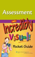 Assessment: An Incredibly Visual Pocket Guide