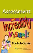 Assessment: An Incredibly Visual Pocket Guide - cover photo