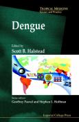 Dengue - cover photo