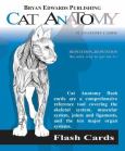 Cat Anatomy Flash Cards - cover photo