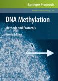 DNA Methylation: Methods and Protocols - cover photo