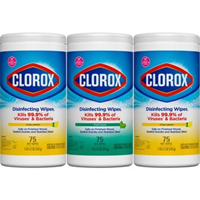 DISINFECTING WIPES CLOROX 3PK 225 WIPES
