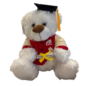 GRAD BEAR IN LETTERMAN JACKET