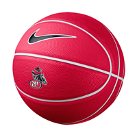Nike Mini Basketball