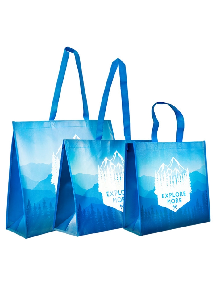Reusable Shopping Bags (SKU 11125150228)
