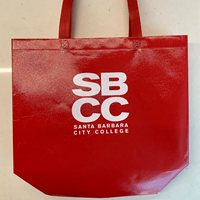 Sbcc Laminated Bag