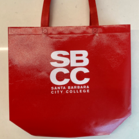 SBCC LAMINATED BAG