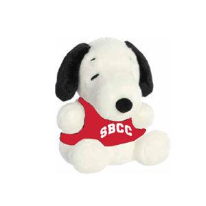 PLUSH SNOOPY/JOE COOL PALM PALS