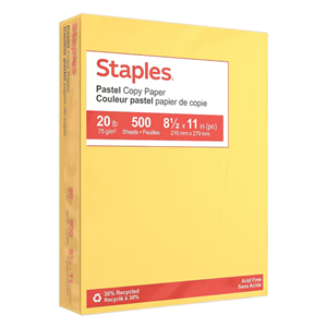COPY PAPER COLORS STAPLES