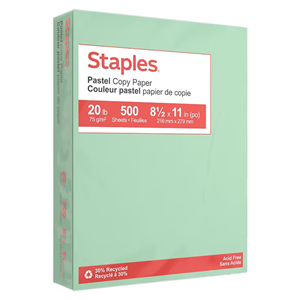 COPY PAPER COLORS STAPLES